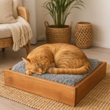 Feyza Design Rahat Ahşap Evcil Hayvan Yatağı 44X34 Cm, Peluş Minderli, Şık ve Dayanıklı