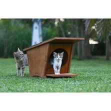 Feyza Design Yumuşak ve Rahat Iç Mekan Kediniz Için Konforlu Yuva