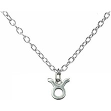 Boğa Burcu Sembol Kolye – 60 cm Zincirli, Zamak Kaplama Unisex Astrolojik Tasarım