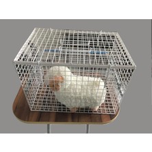 Feyza Design Kedi Enjeksiyon Kafesi 45X31X31 Cm, Güvenli ve Konforlu Tasarım
