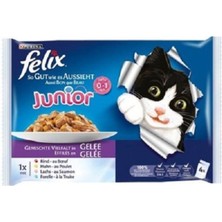 Feyza Design Yavru Kedi Mama 10 Paket (40 Adet) - Besleyici ve Lezzetli Seçenek