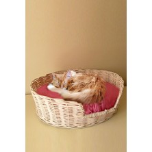 Feyza Design Şık Hasır Rattan Kedi Evi, Rahat ve Şık Tasarım