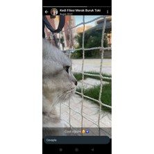 Feyza Design Yumuşak ve Hafif Kedi Filesi, Rahat Kullanım Sağlar