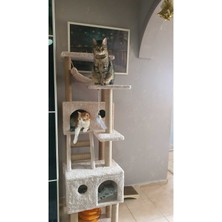 Feyza Design Lüks Hamaklı Yuvalı Kedi Tırmalama Evi ve Oyun Platformu