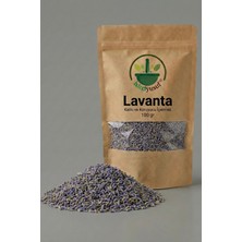 ixirciyusuf Lavanta (Lavanta Çiçeği – Lavandula Angustifolia) Kurutulmuş Bitki 100 G – Doğal