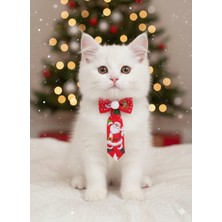 Feyza Design Yılbaşı Temalı Kedi ve Köpek Püsküllü Papyon Takımı