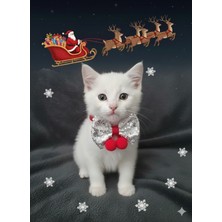 Feyza Design Yılbaşı Temalı Kedi ve Köpek Püsküllü Dekorasyon Süsü