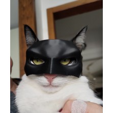 Feyza Design Kedi Için Eğlenceli Batman Maskesi, Sevimli ve Renkli Tasarım