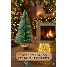 teknokutum Dekoratif Masa Üstü Yılbaşı Çam Ağacı Yanında LED Hediye