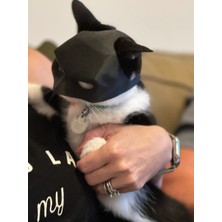 Feyza Design Kedi Temalı Siyah Maske, Eğlenceli ve Rahat Giyim Aksesuarı