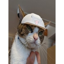 Feyza Design Sevimli Kedi Şapkası, Renk Seçenekleriyle Tatlı ve Şık Tasarım