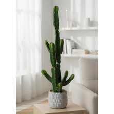Nettenevime Yapay Kaktüs Euphorbia Ingens Şamdan Ağacı Beton Saksıda Yapay Bitki 70CM
