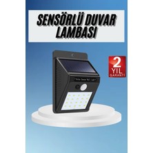 Novis Liora Dekoratif Lamba Güneş Enerjili Aydınlatma Dış Mekan Lambası