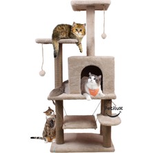 Feyza Design Renkli ve Konforlu Kedi Evi, Salıncaklı ve Oyun Platformlu Welsoft Tasarım