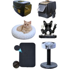 Feyza Design Kedi Lüks Başlangıç Seti 6 Parça Kapalı Tuvalet ve Yataklı Tırmalama