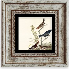 Mbb E-Ticaret Daldaki Kuşlar Çerçeveli Taş Tablo