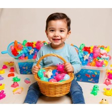 Mbb E-Ticaret Magic Water Elf Aqua Gel Oyun Seti 5 Renk Jel Şişe 6 Kalıp