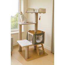Feyza Design Pro Katlı Kedi Tırmalama ve Oyun Evi Xl Yataklı, Eğlenceli ve Konforlu