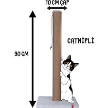 Feyza Design 90CM Büyük Kedi Tırmalama Tahtası, Kalın Borulu ve Catnipli, Gri