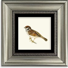 Mbb E-Ticaret Daldaki Serçe Çerçeveli Taş Tablo