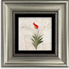 Mbb E-Ticaret Ebru Lale Çerçeveli Taş Tablo