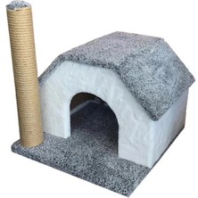 Feyza Design Renkli Tek Katlı Kedi Oyun ve Tırmalama Evi, Eğlenceli ve Sağlam Tasarım