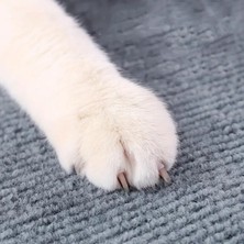 Feyza Design Kedi Tırmalama Halısı, Kendinden Yapışkanlı, Duvar ve Evi Koruyan 200X50 cm