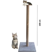 Feyza Design Genis 100 cm Gri Kedi Tırmalama Tahtası, Güçlü ve Şık Tasarım