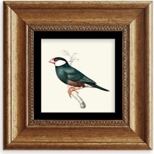 Mbb E-Ticaret Yeşil Kuş Çerçeveli Taş Tablo