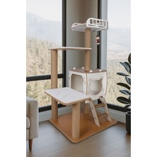 Feyza Design Katlı Kedi Evi ve Tırmalama Platformu, Rahat ve Eğlenceli Tasarım