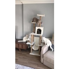 Feyza Design Rahat ve Eğlenceli Kedi Tırmalama Evi ve Oyun Platformu