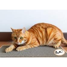Feyza Design Renkli Kedi Tırmanma Matı ile Aktif ve Eğlenceli Oyun Keyfi