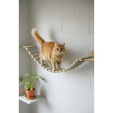 Feyza Design Kedi Duvar Köprüsü ve Tırmanma Rampası, Eğlenceli ve Güvenli Tasarım