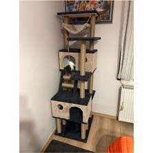 Feyza Design Kedi Tırmalama Evi ve Oyun Platformu, Eğlenceli ve Güvenli Mekan
