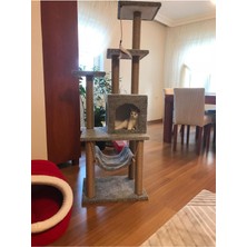 Feyza Design Konforlu ve Eğlenceli Kedi Tırmalama ve Oyun Platformu
