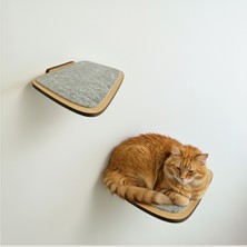 Feyza Design Büyük Boy Kedi Tırmanma ve Duvar Yürüme Platformu