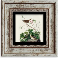 Mbb E-Ticaret Kuşlar Çerçeveli Taş Tablo