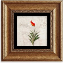 Mbb E-Ticaret Ebru Lale Çerçeveli Taş Tablo