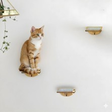 Feyza Design Kedi Tırmanma Rafı ve Duvar Yürüyüş Platformu Seti