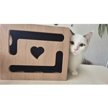 Feyza Design Kedi Tırnak Törpüsü ve Oyun Kutusu, L Boyut