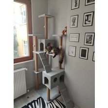 Feyza Design Renkli ve Rahatıyla Kedinizin Favorisi Olacak Tırmalama Evi