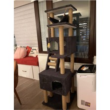 Feyza Design Yumuşak ve Dayanıklı Kedi Tırmalama Evi ile Eğlenceli Oyun Alanı