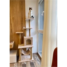 Feyza Design Yüksek Taşınabilir Kedi Tırmalama ve Oyun Platformu, Rahat ve Eğlenceli Kullanım