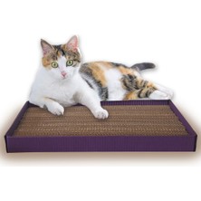 Feyza Design Kedi Tırmalama Dalgalı Ondüle Karton Kutulu, 24X48 Cm, Dayanıklı ve Eğlenceli