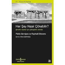 İş Bankası Kültür Yayınları Her Şey Nasıl Çökebilir ?: Şimdiki Nesiller Için Çöküşbilim Elkitabı + 24 Denklemde Matematiğin Hikayesi + 25 Kitap