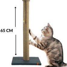 Feyza Design 65 cm Uzun Kedi Tırmalama Tahtası, Catnipli, Lacivert