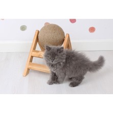 Feyza Design Renkli ve Eğlenceli Kedi Tırmalama Oyuncağı, Eğlence ve Tırmalama Keyfi