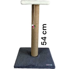 Feyza Design 54 cm Iki Katlı Çizim ve Oyun Tırmalama Tahtası Kedi Için
