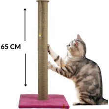Feyza Design 65 cm Uzun Kedi Tırmalama Tahtası, Catnipli, Pembe, Eğlenceli Tasarım