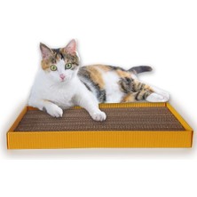Feyza Design Renkli Dalgalı Kedi Tırmalama Dallar, 24X48 Cm, Dayanıklı Karton Tasarım